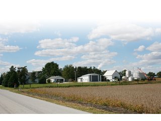 Property photo 84 - 500 +/- Acres Offered in 9 Tracts - Northwest Indiana Real Estate Auction
