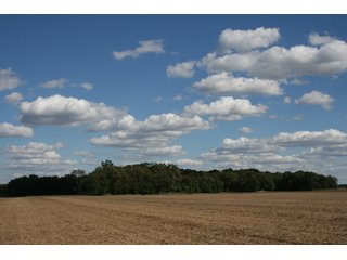 Property photo 5 - 500 +/- Acres Offered in 9 Tracts - Northwest Indiana Real Estate Auction