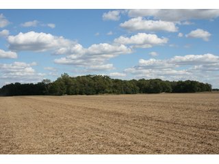 Property photo 109 - 500 +/- Acres Offered in 9 Tracts - Northwest Indiana Real Estate Auction