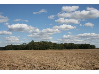 Property photo 106 - 500 +/- Acres Offered in 9 Tracts - Northwest Indiana Real Estate Auction