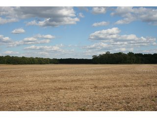Property photo 108 - 500 +/- Acres Offered in 9 Tracts - Northwest Indiana Real Estate Auction