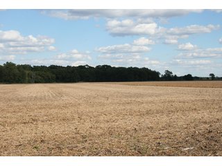 Property photo 117 - 500 +/- Acres Offered in 9 Tracts - Northwest Indiana Real Estate Auction