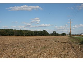Property photo 113 - 500 +/- Acres Offered in 9 Tracts - Northwest Indiana Real Estate Auction