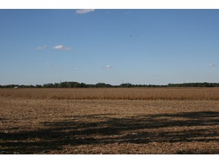 Property photo 118 - 500 +/- Acres Offered in 9 Tracts - Northwest Indiana Real Estate Auction