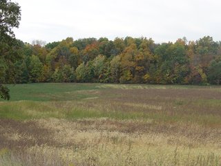 Property photo 6 - 32+/- Acres Offered in 3 Tracts Real Estate and Personal Property Auction
