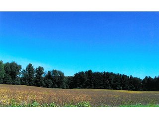 Property photo 2 - 356 +/- Acres Offered in 3 Tracts - Real Estate Auction