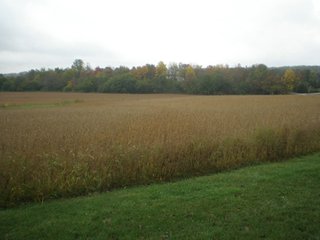Property photo 2 - 274 +/- Acres Offered in 3 Tracts - Real Estate Auction