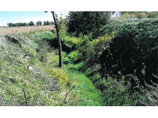 Property photo 1 - 80 +/- Acre Land Auction