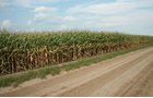 Property photo 21 - 540 +/- Acres Highly Productive Soils - Land and Farm Equipment Auction