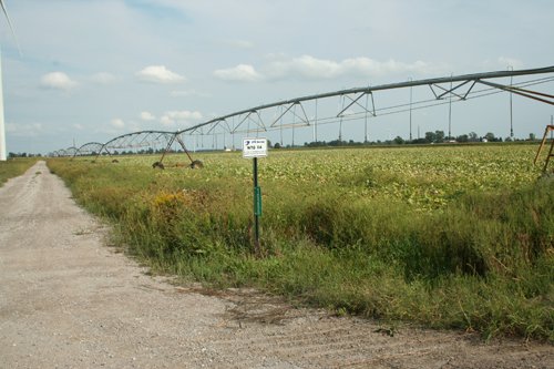 Property photo 7 - 540 +/- Acres Highly Productive Soils - Land and Farm Equipment Auction