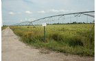 Property photo 7 - 540 +/- Acres Highly Productive Soils - Land and Farm Equipment Auction