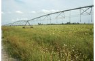 Property photo 2 - 540 +/- Acres Highly Productive Soils - Land and Farm Equipment Auction