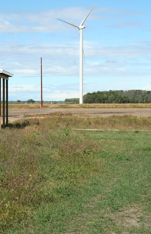 Property photo 6 - 540 +/- Acres Highly Productive Soils - Land and Farm Equipment Auction