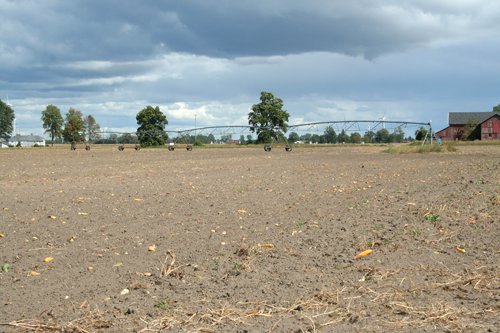Property photo 13 - 540 +/- Acres Highly Productive Soils - Land and Farm Equipment Auction