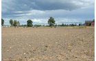 Property photo 13 - 540 +/- Acres Highly Productive Soils - Land and Farm Equipment Auction