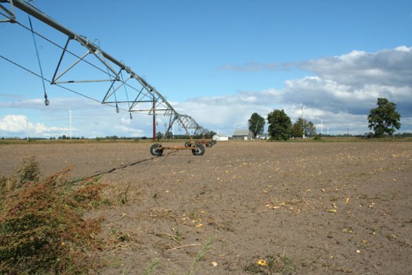 540 +/- Acres Highly Productive Soils - Land and Farm Equipment Auction