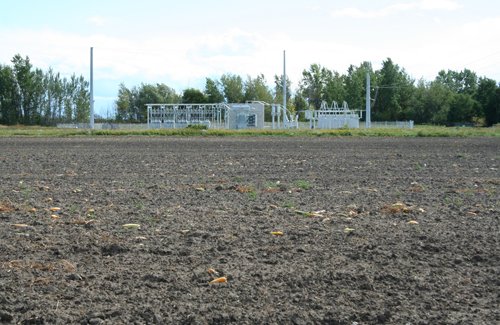 Property photo 19 - 540 +/- Acres Highly Productive Soils - Land and Farm Equipment Auction