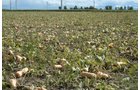 Property photo 23 - 540 +/- Acres Highly Productive Soils - Land and Farm Equipment Auction