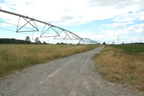 Property photo 9 - 540 +/- Acres Highly Productive Soils - Land and Farm Equipment Auction