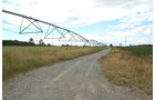 Property photo 9 - 540 +/- Acres Highly Productive Soils - Land and Farm Equipment Auction