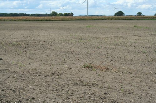Property photo 8 - 540 +/- Acres Highly Productive Soils - Land and Farm Equipment Auction