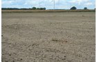 Property photo 8 - 540 +/- Acres Highly Productive Soils - Land and Farm Equipment Auction