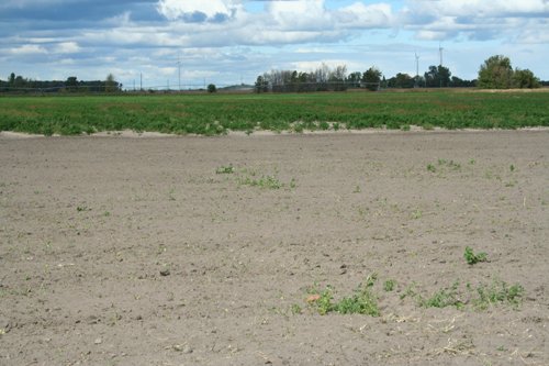 Property photo 12 - 540 +/- Acres Highly Productive Soils - Land and Farm Equipment Auction