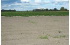 Property photo 12 - 540 +/- Acres Highly Productive Soils - Land and Farm Equipment Auction
