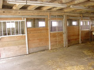 Property photo 6 - 93 +/- Acres Offered in 11 Tracts - Real Estate Auction