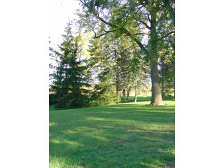 Property photo 26 - 93 +/- Acres Offered in 11 Tracts - Real Estate Auction