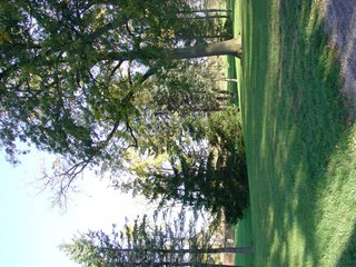 Property photo 28 - 93 +/- Acres Offered in 11 Tracts - Real Estate Auction