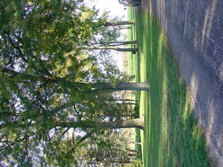 Property photo 10 - 93 +/- Acres Offered in 11 Tracts - Real Estate Auction