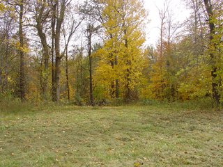 Property photo 23 - 93 +/- Acres Offered in 11 Tracts - Real Estate Auction