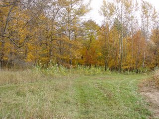Property photo 34 - 93 +/- Acres Offered in 11 Tracts - Real Estate Auction