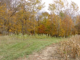 Property photo 3 - 93 +/- Acres Offered in 11 Tracts - Real Estate Auction