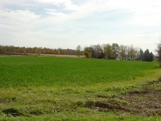 Property photo 35 - 93 +/- Acres Offered in 11 Tracts - Real Estate Auction