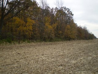 Property photo 8 - 95.3 Acres Offered in 4 Tracts - Real Estate Auction