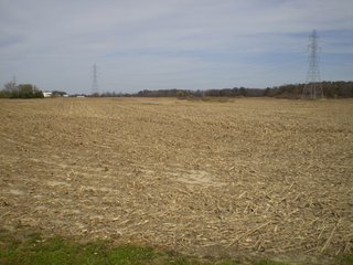 Property photo 3 - 95.3 Acres Offered in 4 Tracts - Real Estate Auction