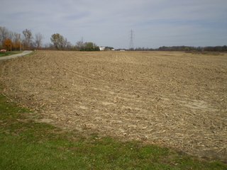 Property photo 12 - 95.3 Acres Offered in 4 Tracts - Real Estate Auction
