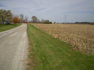 Property photo 4 - 95.3 Acres Offered in 4 Tracts - Real Estate Auction