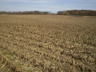 Property photo 13 - 95.3 Acres Offered in 4 Tracts - Real Estate Auction