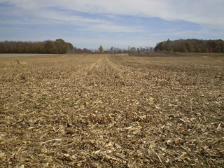 Property photo 1 - 95.3 Acres Offered in 4 Tracts - Real Estate Auction