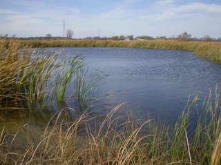 Property photo 15 - 95.3 Acres Offered in 4 Tracts - Real Estate Auction