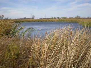 Property photo 9 - 95.3 Acres Offered in 4 Tracts - Real Estate Auction