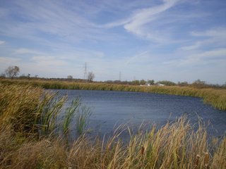 Property photo 10 - 95.3 Acres Offered in 4 Tracts - Real Estate Auction