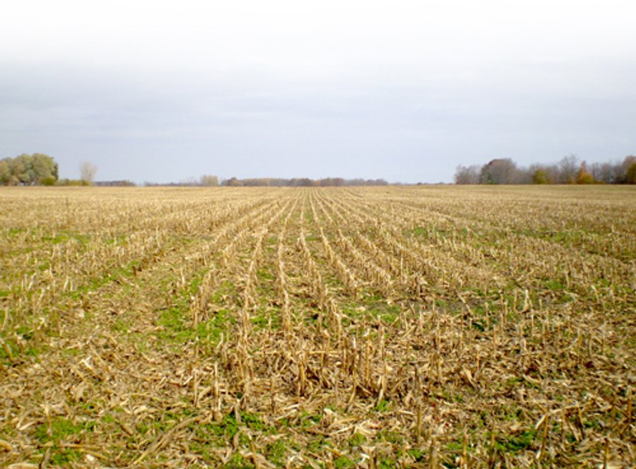 103 +/- Farmland Acres