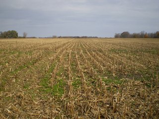 Property photo 3 - 103 +/- Farmland Acres