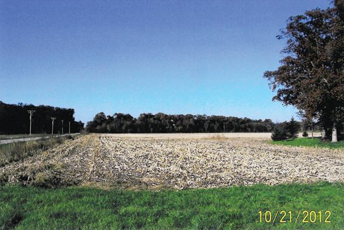 Property photo 4 - 131.5 Acres Offered in 5 Tracts - Land Auction