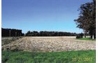 Property photo 4 - 131.5 Acres Offered in 5 Tracts - Land Auction