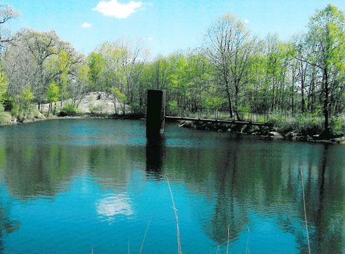 Property photo 1 - 131.5 Acres Offered in 5 Tracts - Land Auction